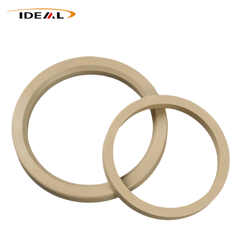 PEEK sealing rings