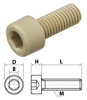PEEK Socket Head Cap Screws